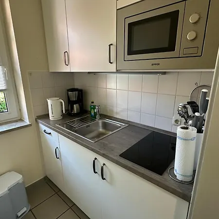 Strandhafer Und Sanddorn