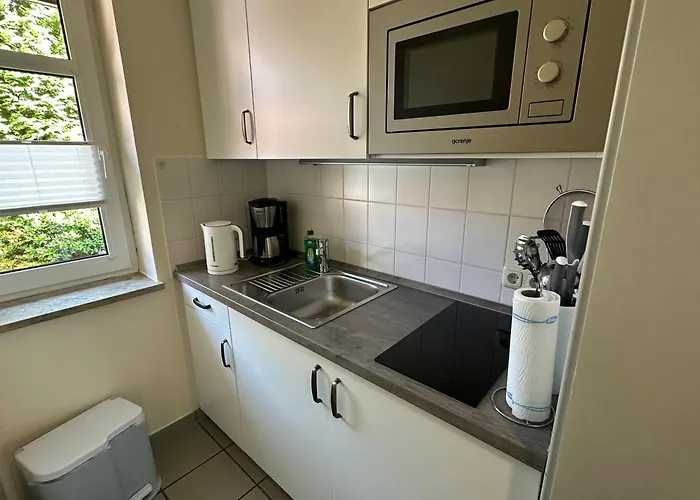 Strandhafer Und Sanddorn