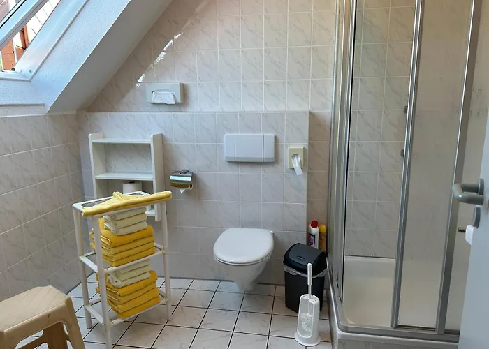 Strandhafer Und Sanddorn * Schillig